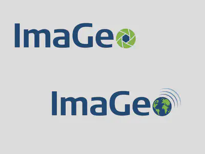 Logo alternative versions